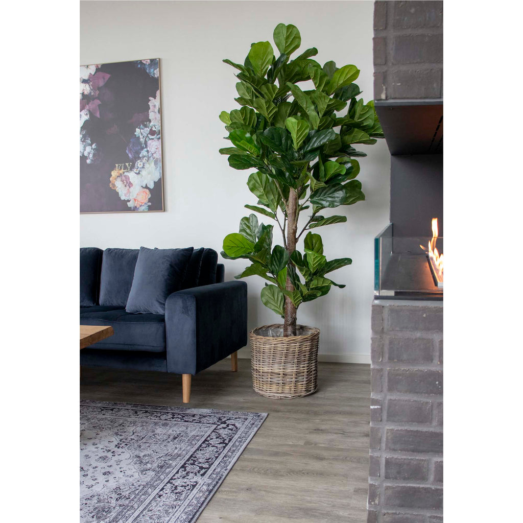 Ficus lyrata artificiel 190cm dans panier rotin naturel salon velours bleu cheminée style contemporain