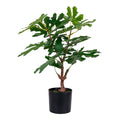 Figuier artificiel vert 60cm en pot noir, grandes feuilles lobées nervurées tronc brun écorcé fond blanc