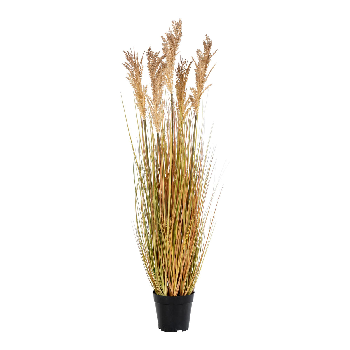 Graminée artificielle Sorghum 110 cm en pot noir avec tiges vert olive et ocre et épis beige doré sur fond blanc