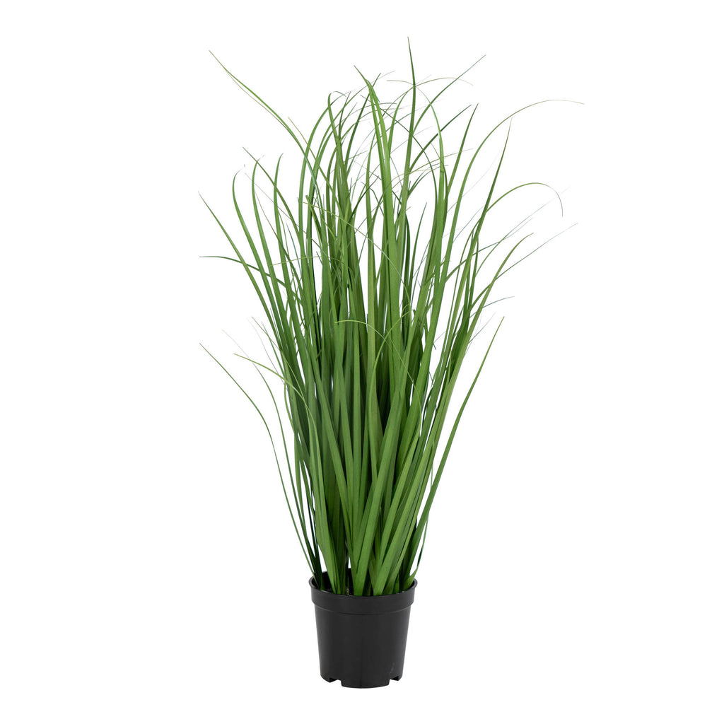 Graminée Poa artificielle verte 68cm en pot noir, tiges fines élancées fond blanc