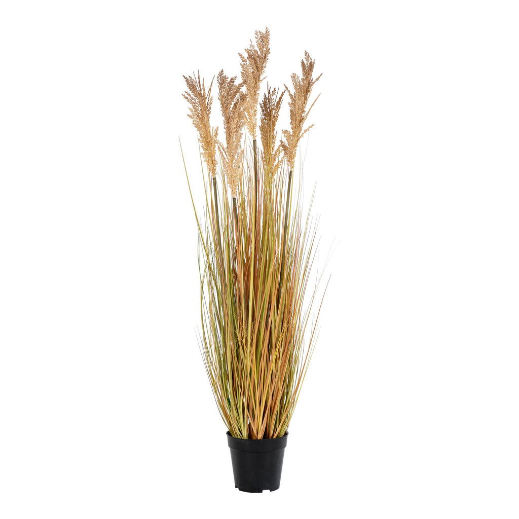 Graminée Sorghum artificielle naturel doré 110cm en pot noir, épis beige dorés tiges ocre fond blanc