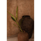 Vase Volcanic dans un angle derrière un vase plus petit garni de feuillage