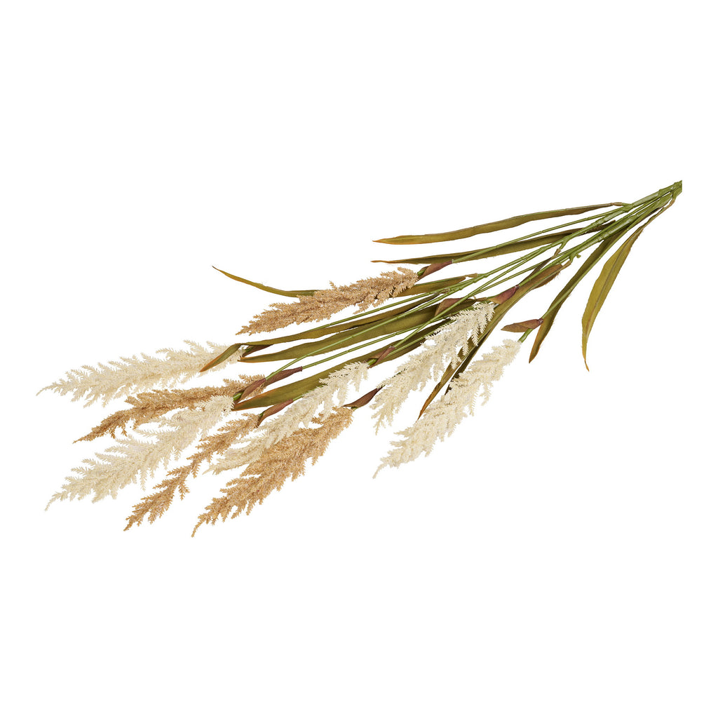 Tiges d'herbe décorative artificielle beige sable avec épis duveteux blancs et feuilles vertes, fond blanc