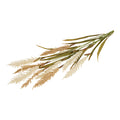 Tiges d'herbe décorative artificielle beige sable avec épis duveteux blancs et feuilles vertes, fond blanc