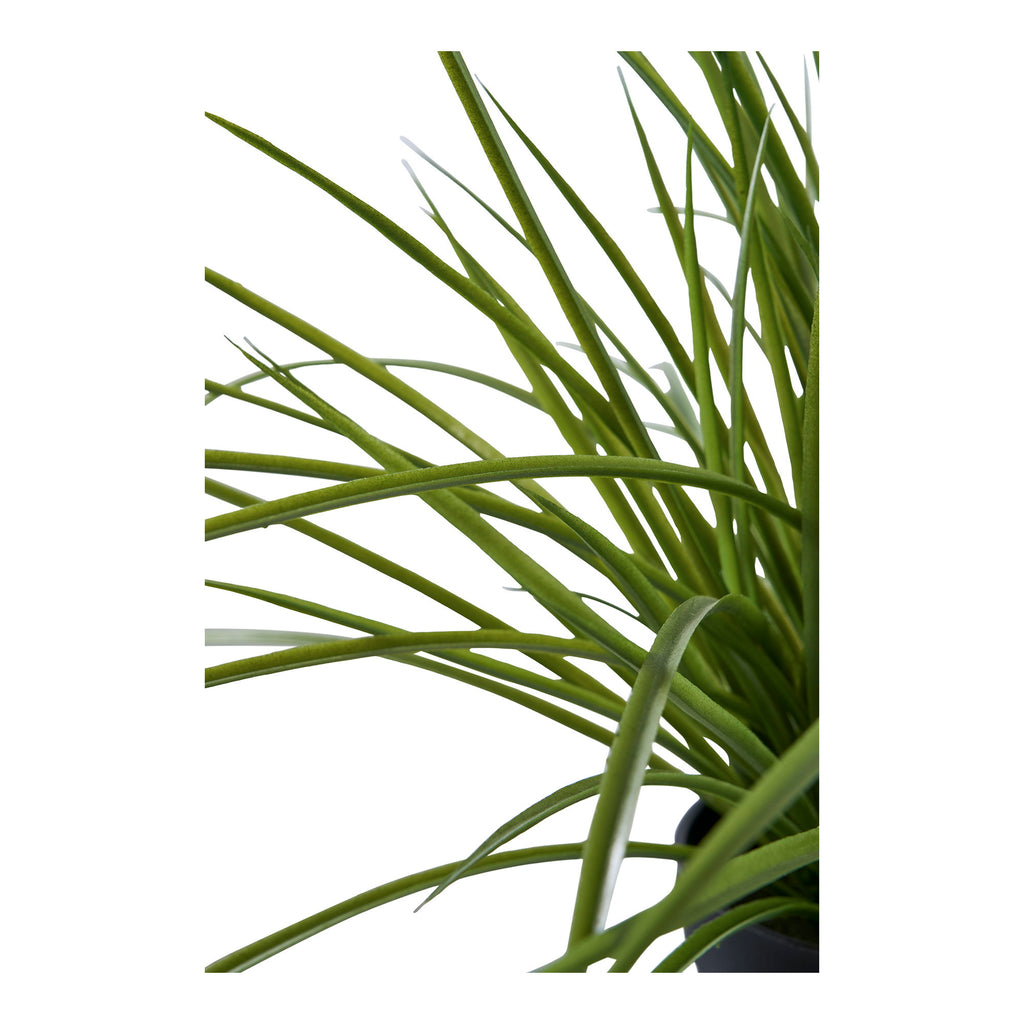 Détail tiges fines arquées plante artificielle herbe ornementale verte réaliste