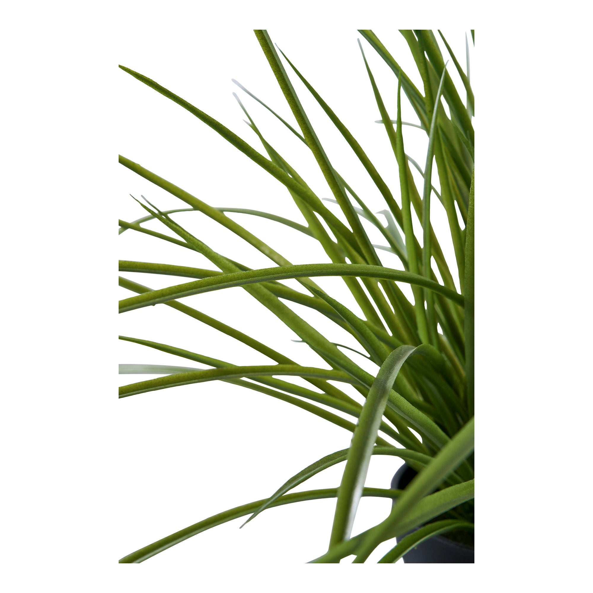 Détail tiges fines arquées plante artificielle herbe ornementale verte réaliste
