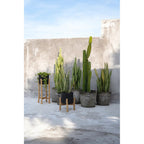 Jardinière Charcoal en terre cuite sur sellette 36 cm, vue 4