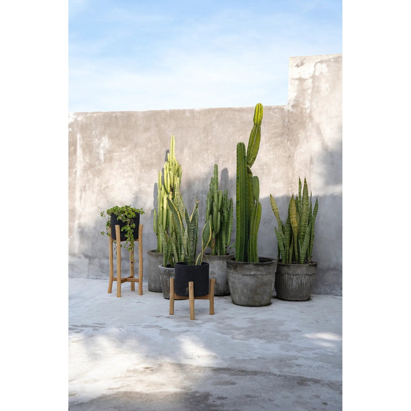 Jardinière Charcoal en terre cuite sur sellette 36 cm, vue 4