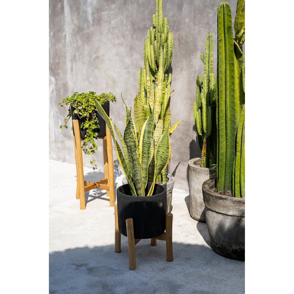 Jardinière Charcoal en terre cuite sur sellette 36 cm, vue 5
