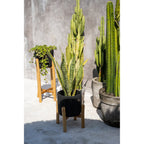 Jardinière Charcoal en terre cuite sur sellette 36 cm, vue 5