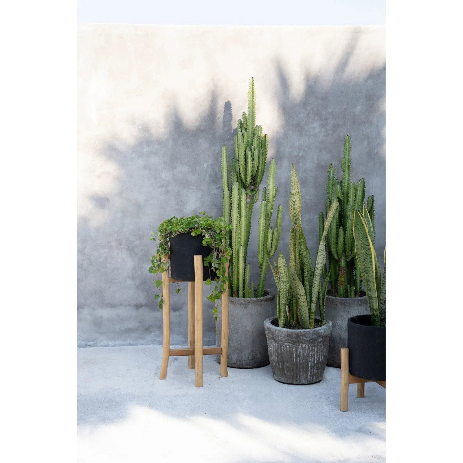 Jardinière Charcoal en terre cuite sur sellette 68 cm, vue 3