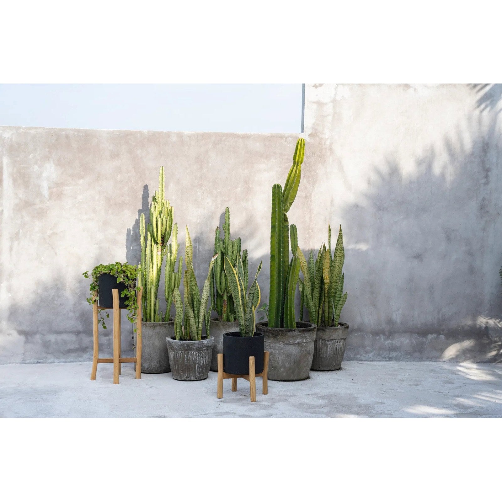 Jardinière Charcoal en terre cuite sur sellette 68 cm, vue 5