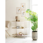Lampe Morley grise bouclette posée sur étagère salon intérieur beige plante palmier