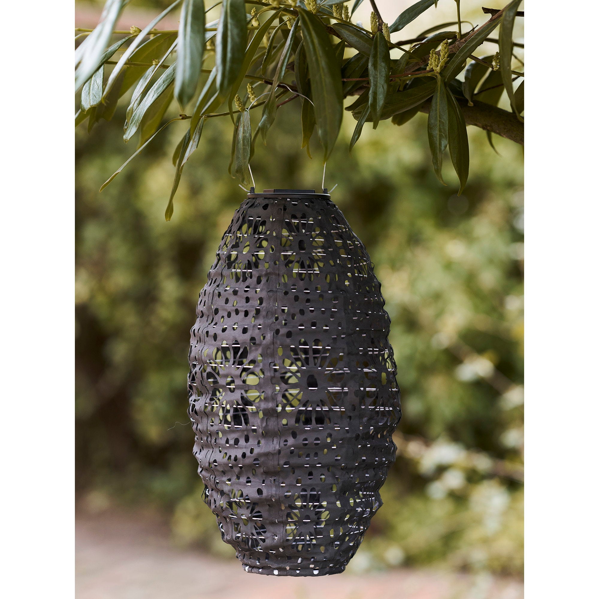 Lanterne solaire Foxdale grise suspendue branche arbre jardin extérieur ambiance naturelle