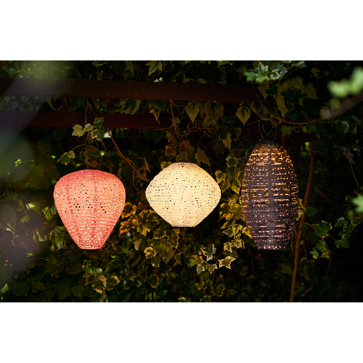 Lanterne Greatham rose poudré allumée de nuit à côté de deux autres modèles de lanternes blanche et noire