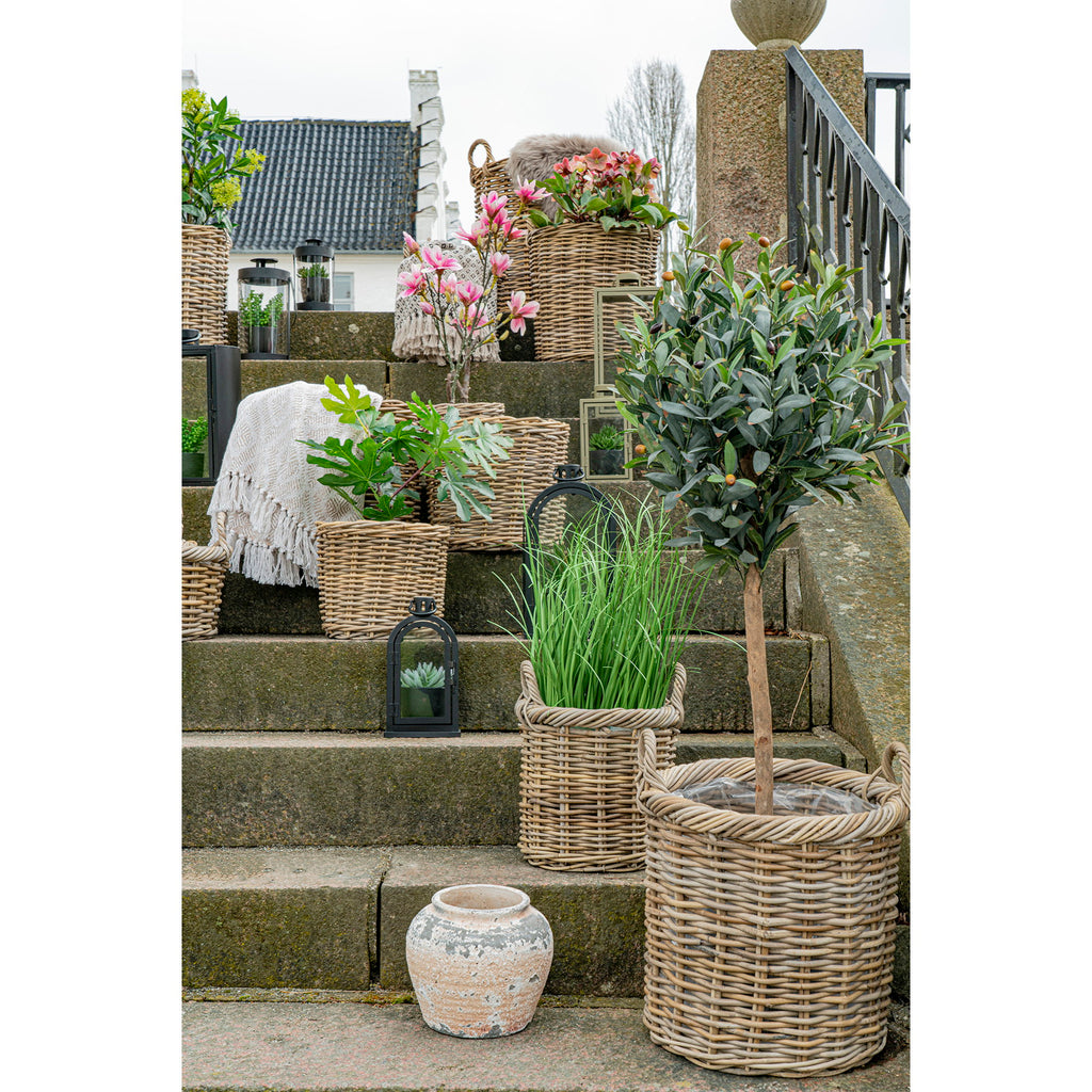 Cache-pots Gili rotin kubu naturel escalier jardin collection panier olivier magnolia décoration