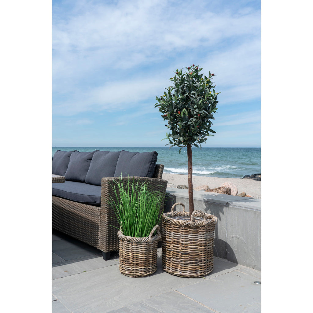 Cache-pots Gili rotin kubu naturel terrasse bord de mer olivier graminée canapé extérieur