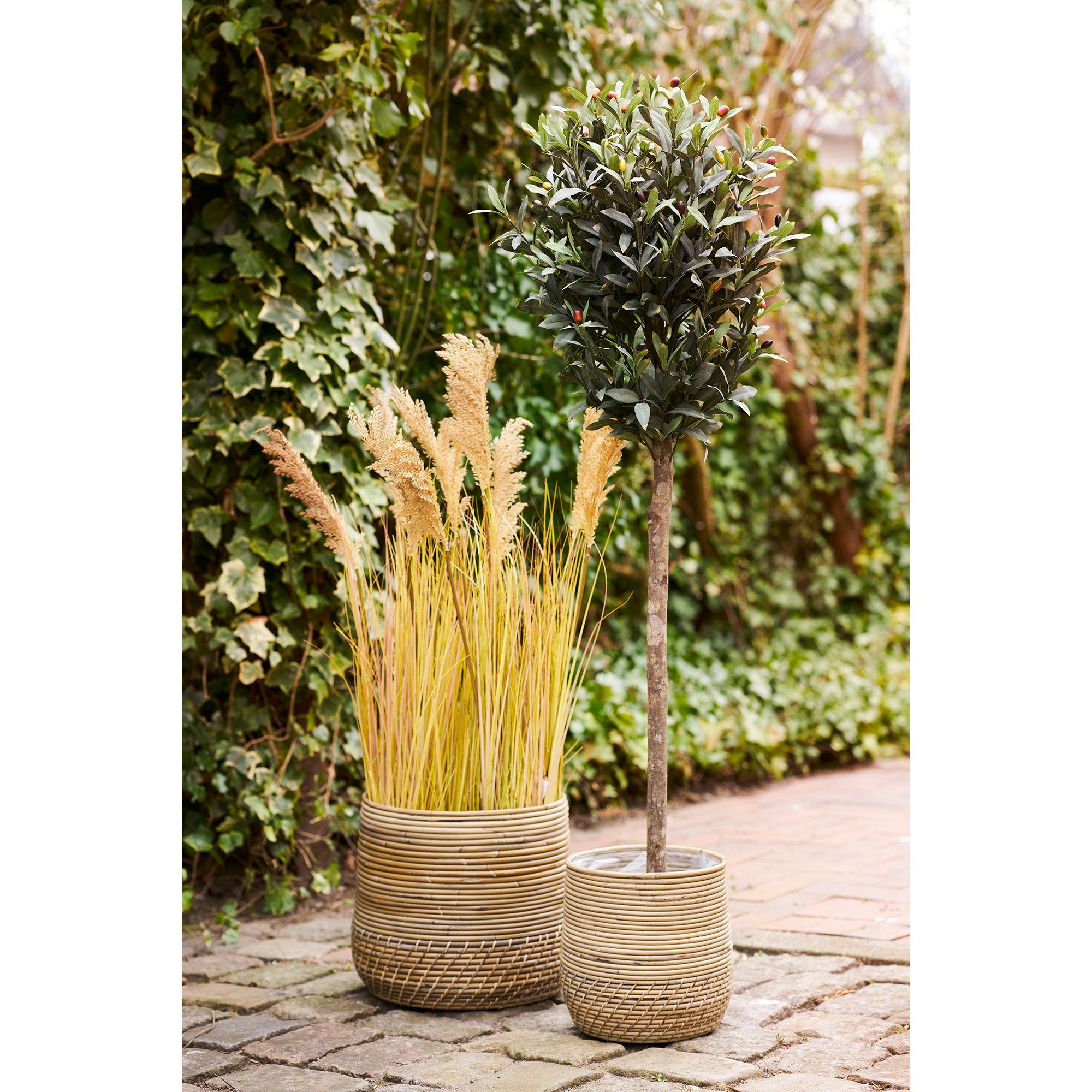 Duo cache-pots Moro rotin kubu naturel terrasse olivier graminée décoration extérieure