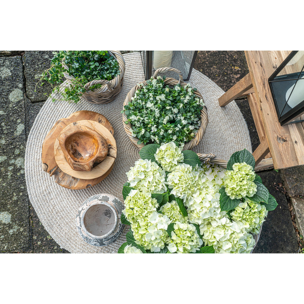 Vue dessus cache-pots bas Kuta rotin kubu naturel hortensias fleurs blanches décoration terrasse