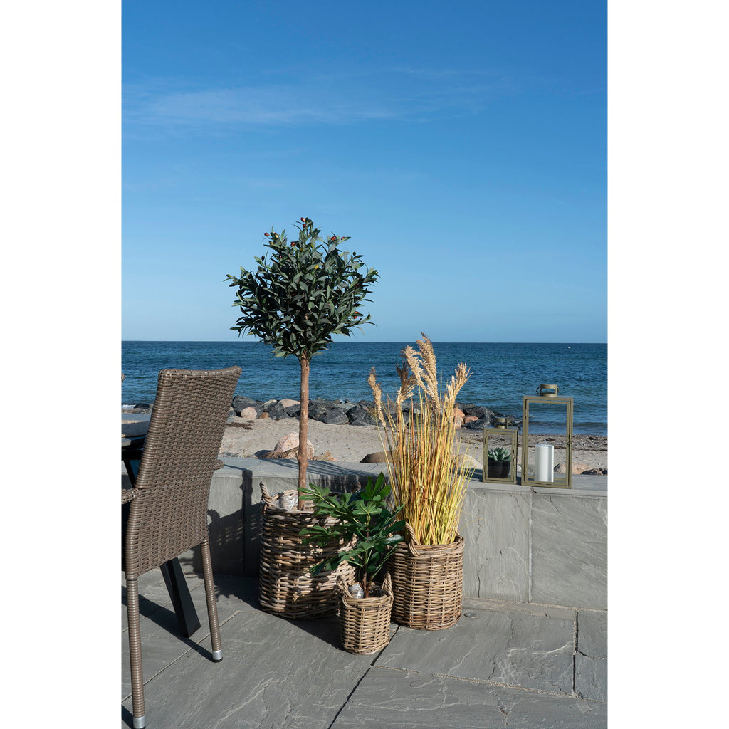 Trio cache-pots Sema rotin kubu naturel en situation terrasse bord de mer plantes déco