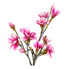 Branches de magnolia artificiel rose fuchsia fleuries avec boutons fermés et fleurs épanouies fond blanc