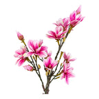 Détail des fleurs étoilees rose fuchsia et blanc nacré du magnolia artificiel avec branches écorcees