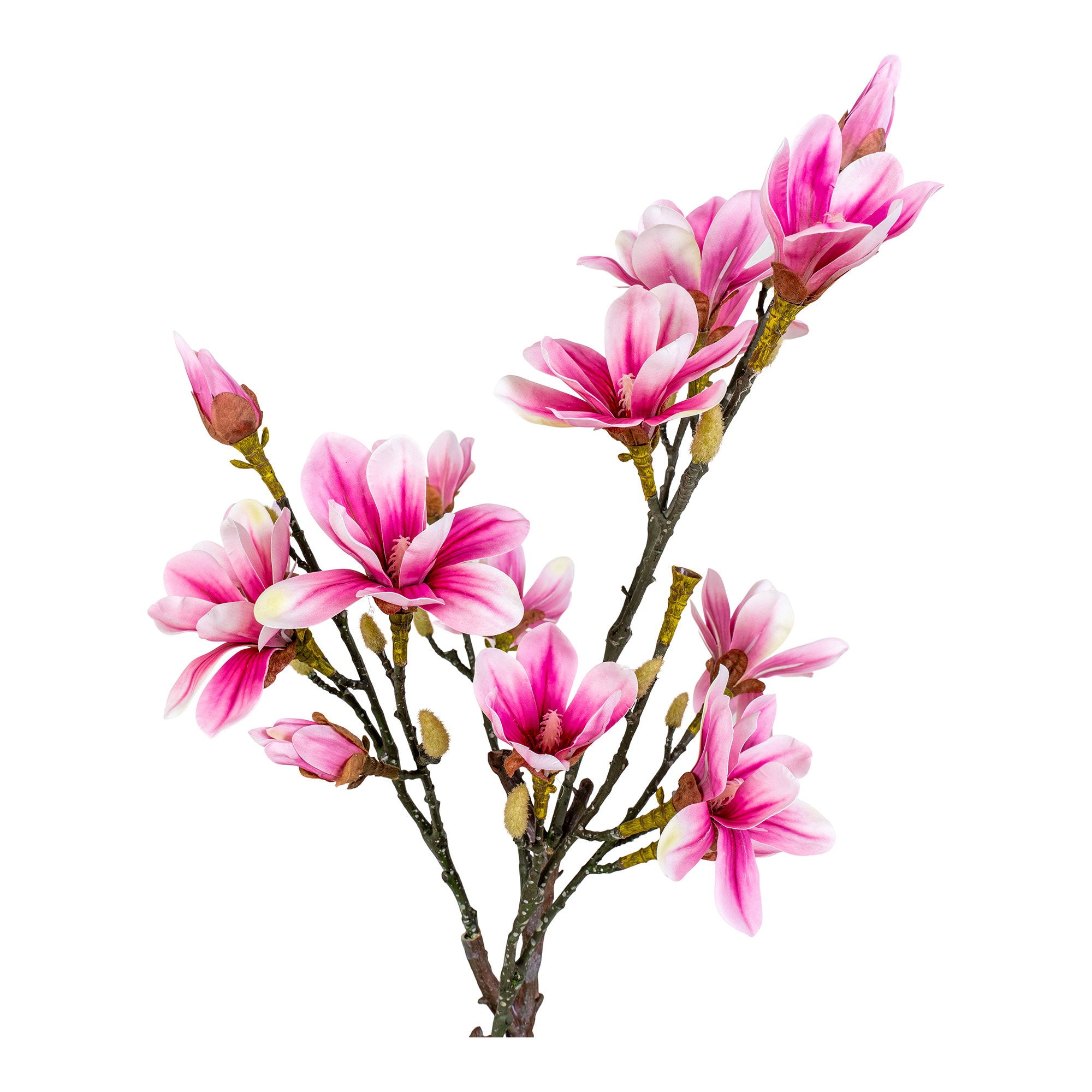 Détail fleurs étoilées rose fuchsia blanc nacré magnolia artificiel, boutons et branches écorcées réalistes