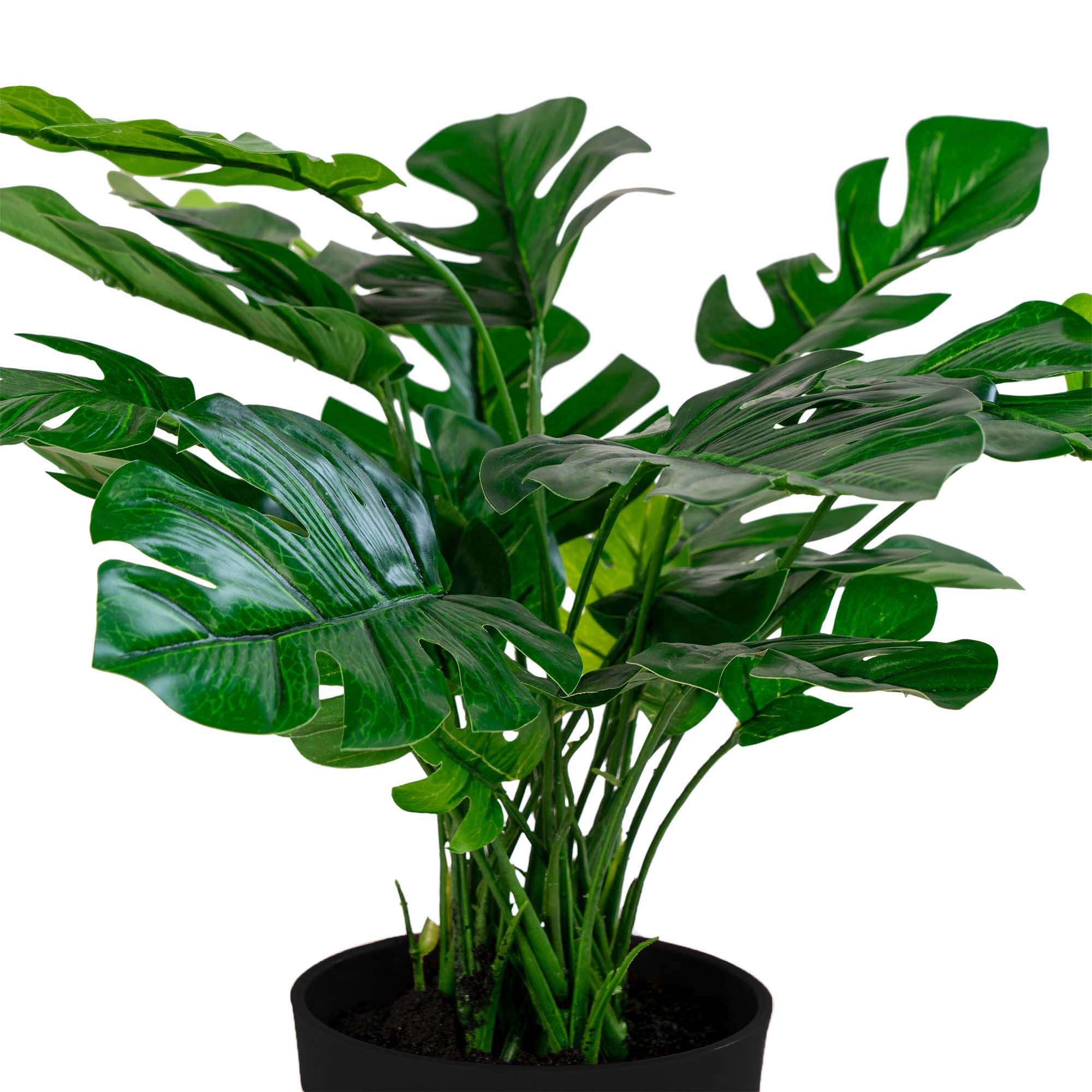 Détail feuilles découpées plante artificielle Monstera verte réaliste