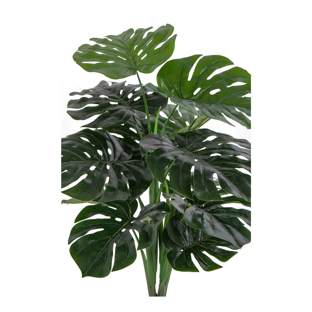 Détail grandes feuilles fenêtrées nervurées Monstera artificielle Deliciosa vert profond