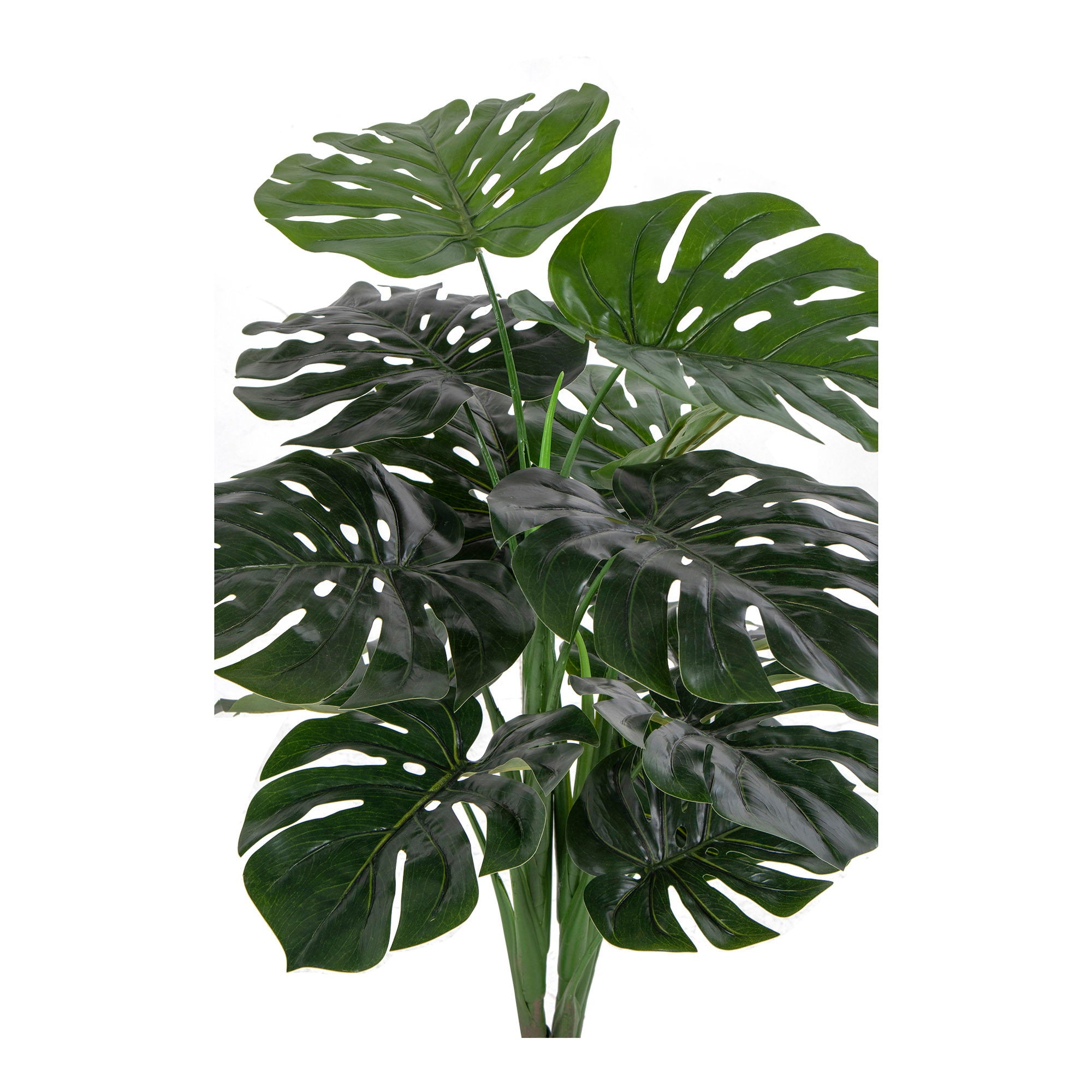 Détail grandes feuilles fenêtrées nervurées Monstera artificielle Deliciosa vert profond