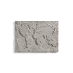 Œuvre murale The Gray Planet carte du monde sculptée en relief dans un panneau de béton gris naturel sur fond blanc