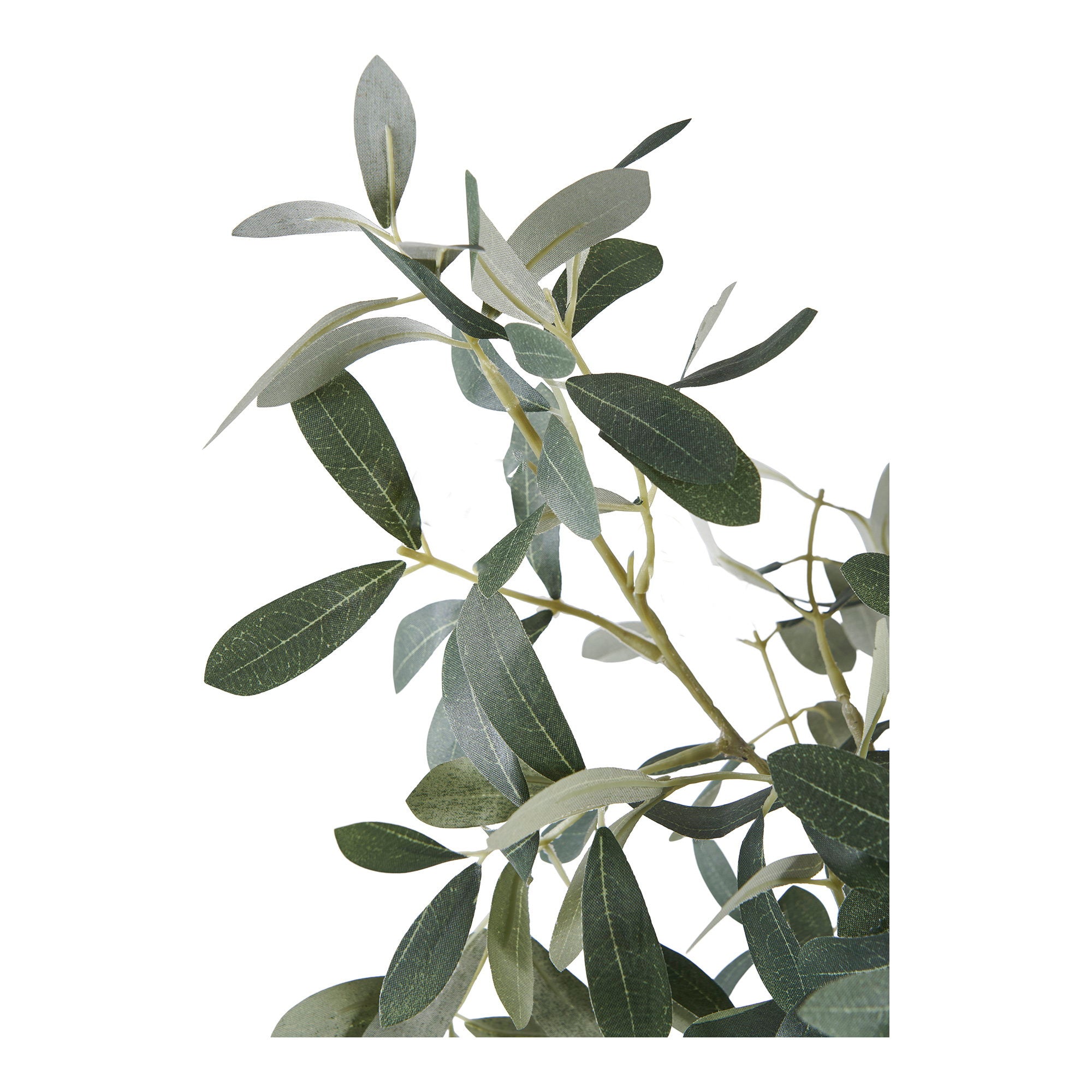 Gros plan branches ramifiées et feuilles olivier artificiel vert gris qualité premium