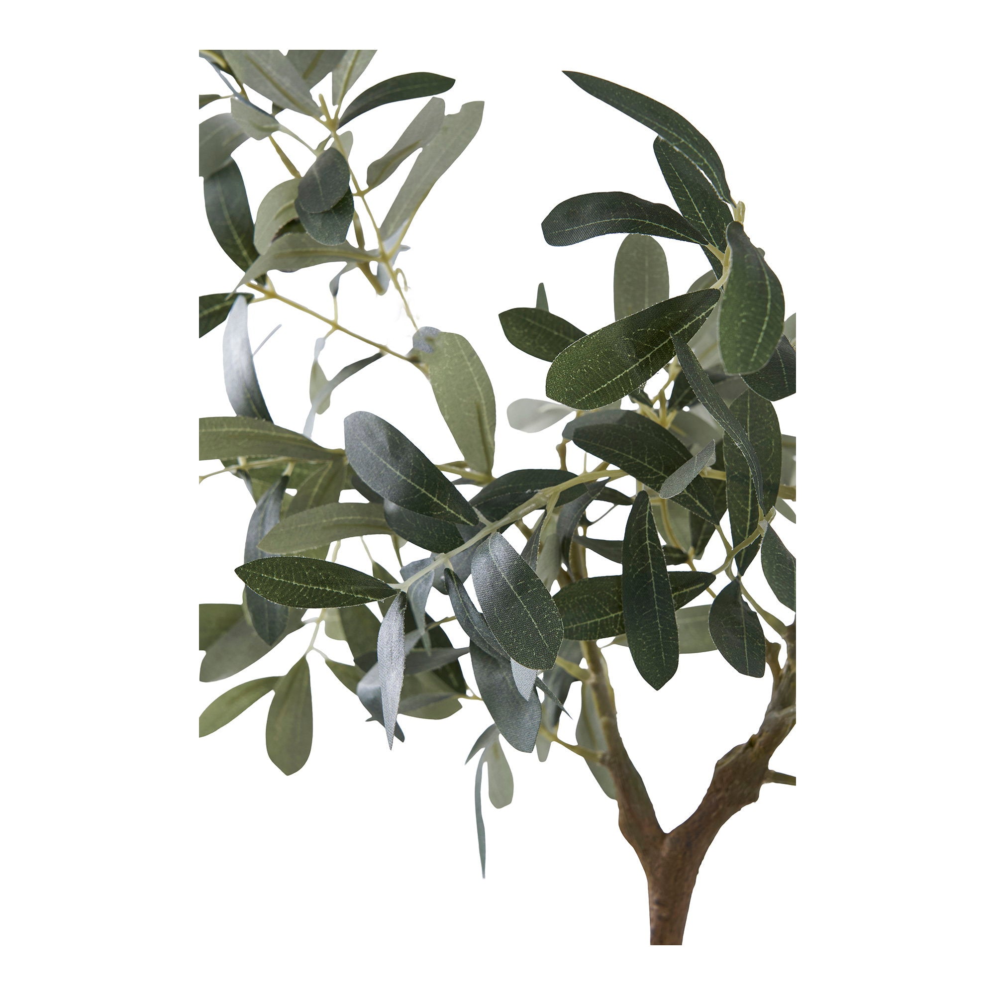 Détail feuilles bicolores vert et gris argenté olivier artificiel réaliste