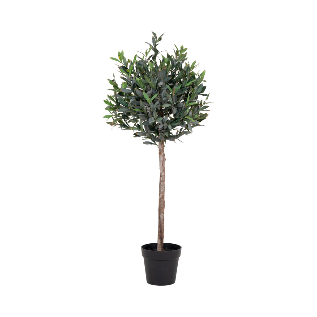 Olivier artificiel 120cm sur tige unique en pot noir, couronne dense feuilles vert foncé fond blanc