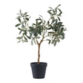Olivier artificiel vert 61 cm tronc noueux pot noir fond blanc
