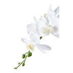 Détail des fleurs blanches au cœur crème moucheté et des boutons verts de l'orchidée artificielle