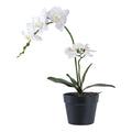 Orchidée artificielle blanche à deux tiges fleuries dans son pot de culture noir
