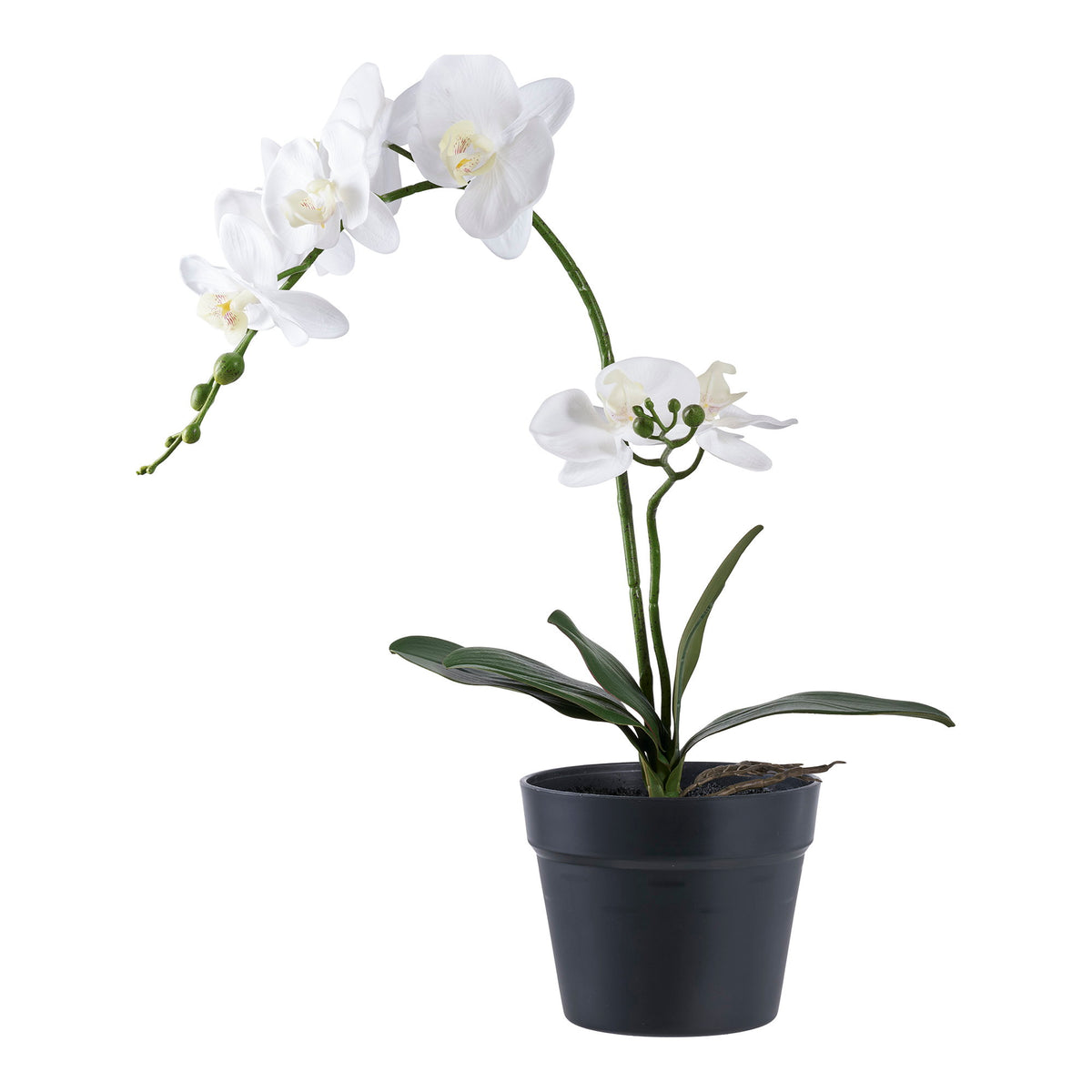 Orchidée artificielle blanche à deux tiges fleuries dans son pot de culture noir