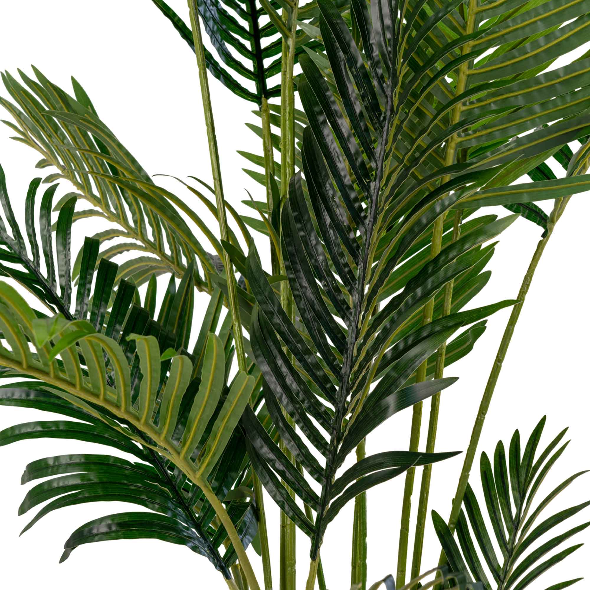 Détail feuilles pennées palmier artificiel Areca vert réaliste haute qualité