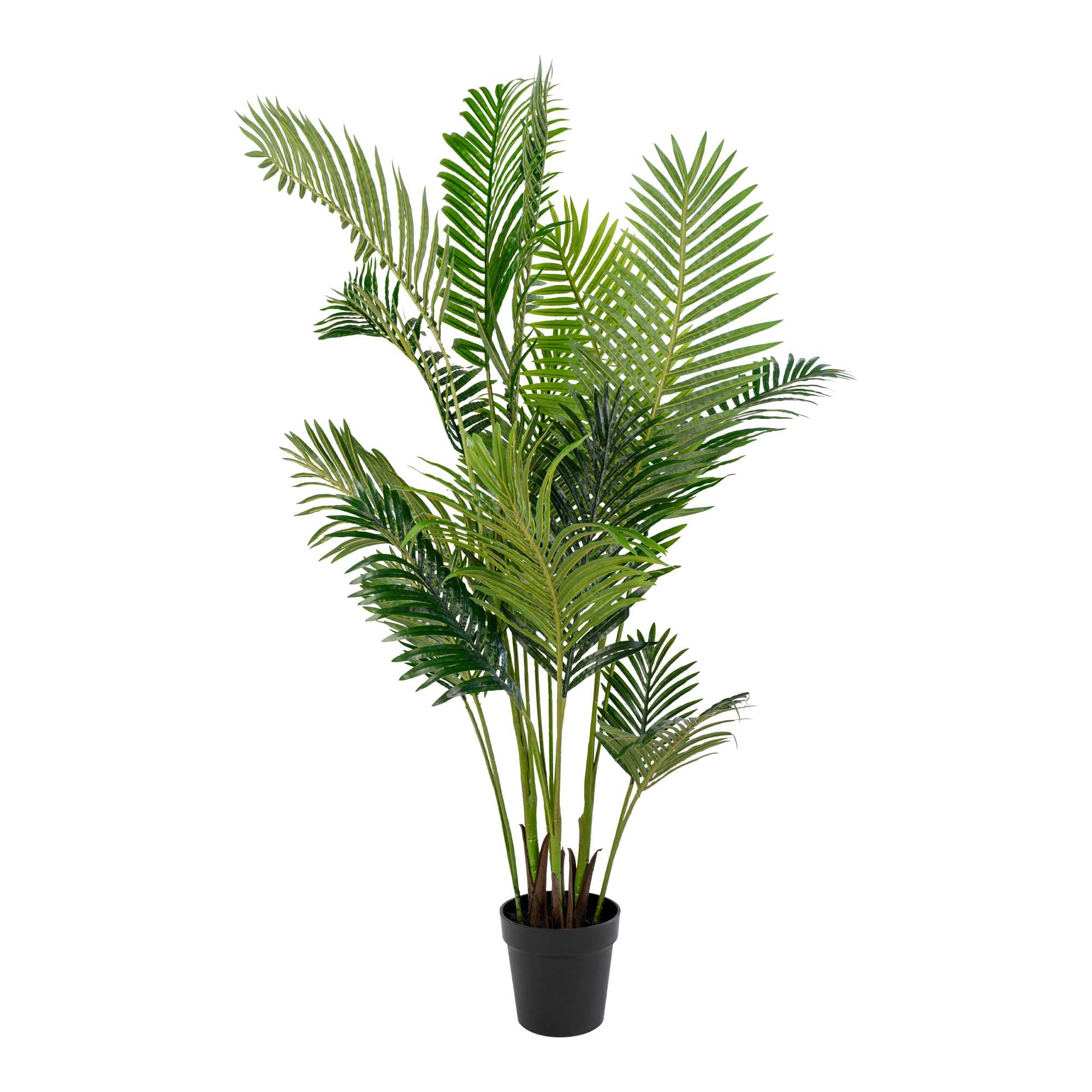 Palmier artificiel Areca vert 175 cm dans pot noir fond blanc