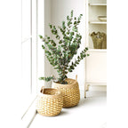 Panier Strahan jacinthe d eau tressée avec anses lot de 2 vue de détail