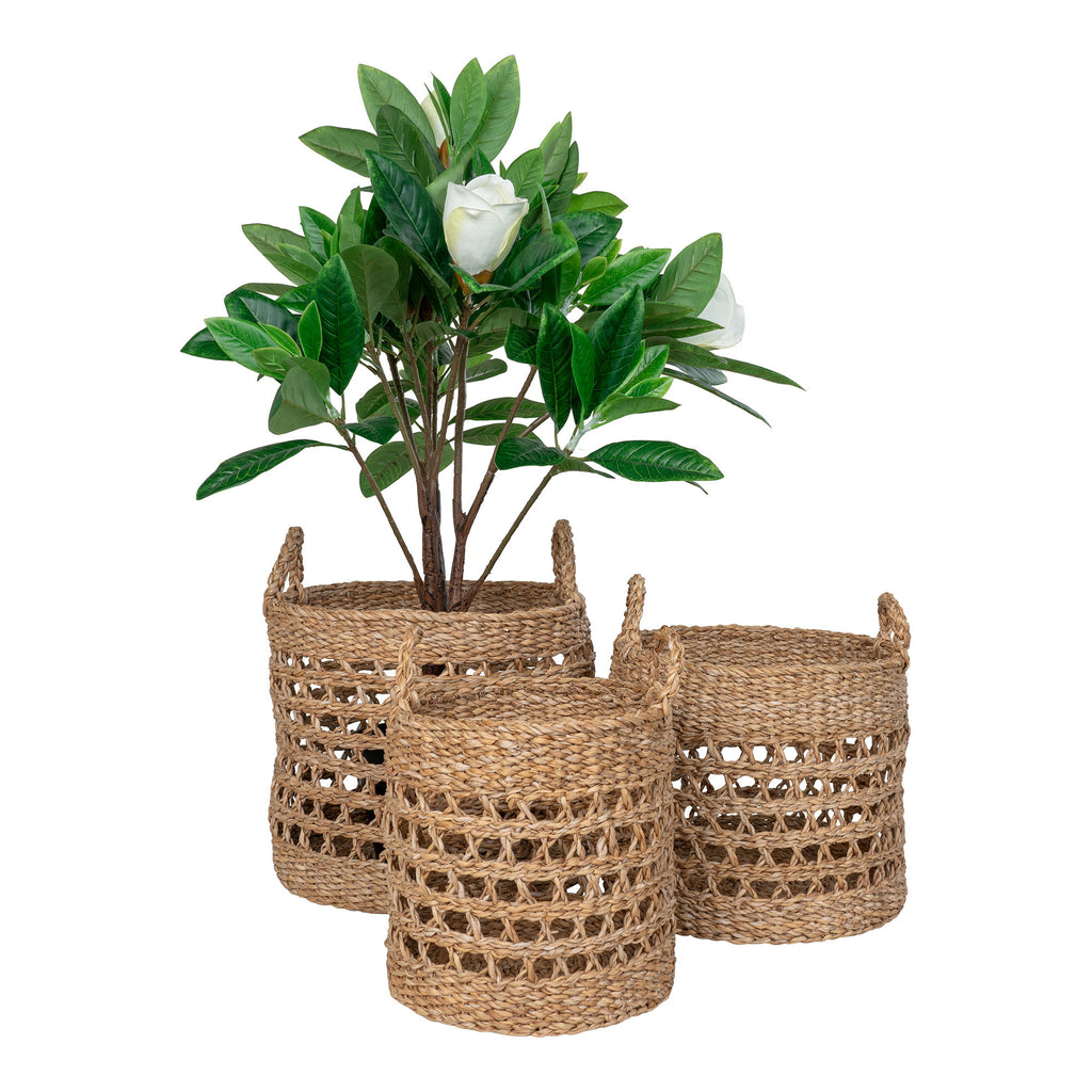 Set paniers Balok herbe mer ajourée avec magnolia blanc cache-pot fond blanc