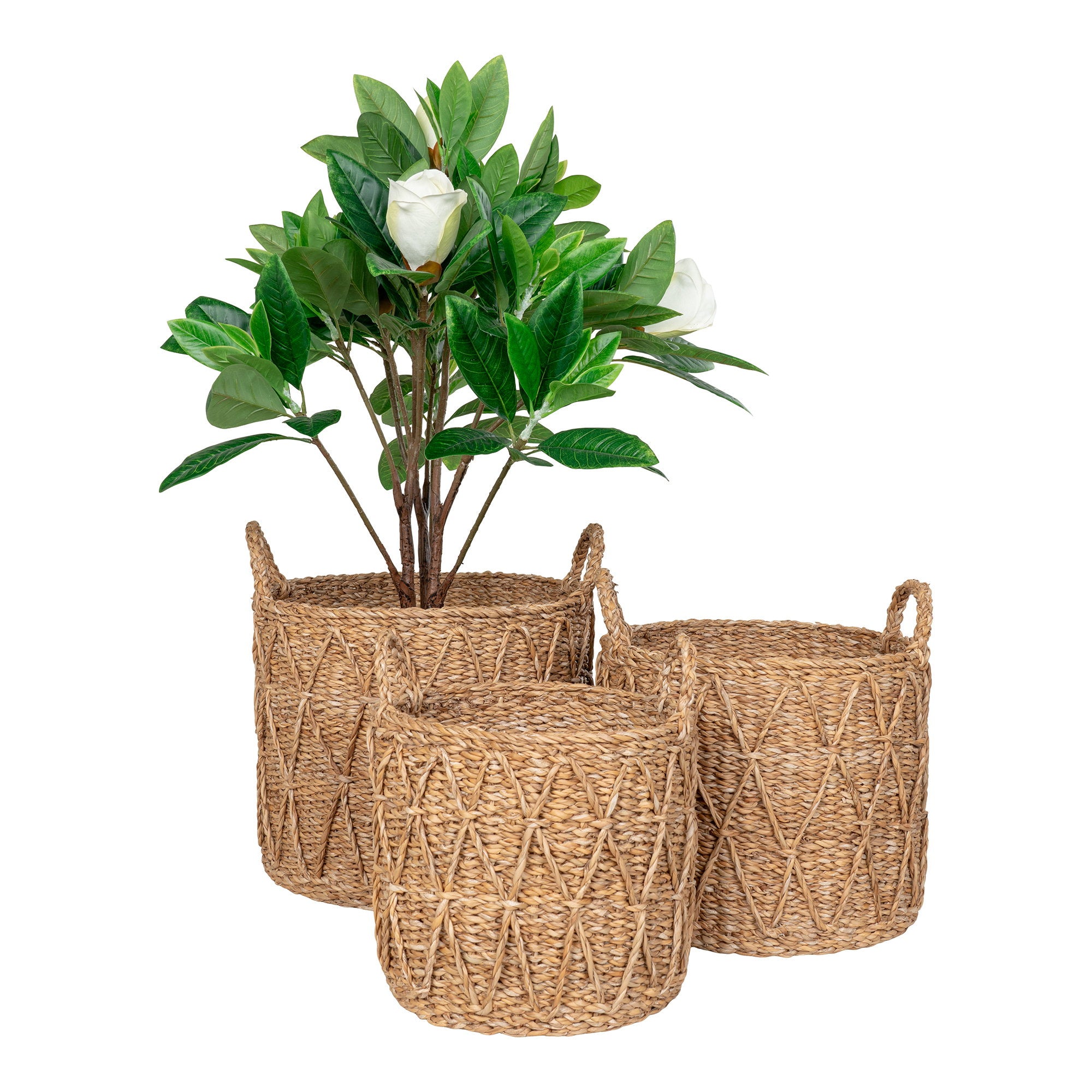 Set paniers Krabi herbe mer losanges relief cache-pot magnolia blanc fond blanc