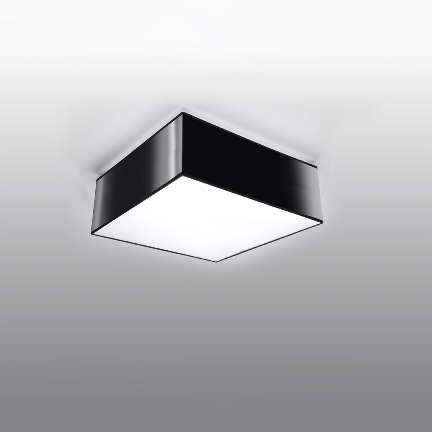 Plafonnier Horus noir monté au plafond