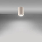 Plafonnier Lagos 10 métal beige GU10, vue 3
