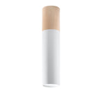 Plafonnier Pablo acier blanc et bois, spot cylindrique