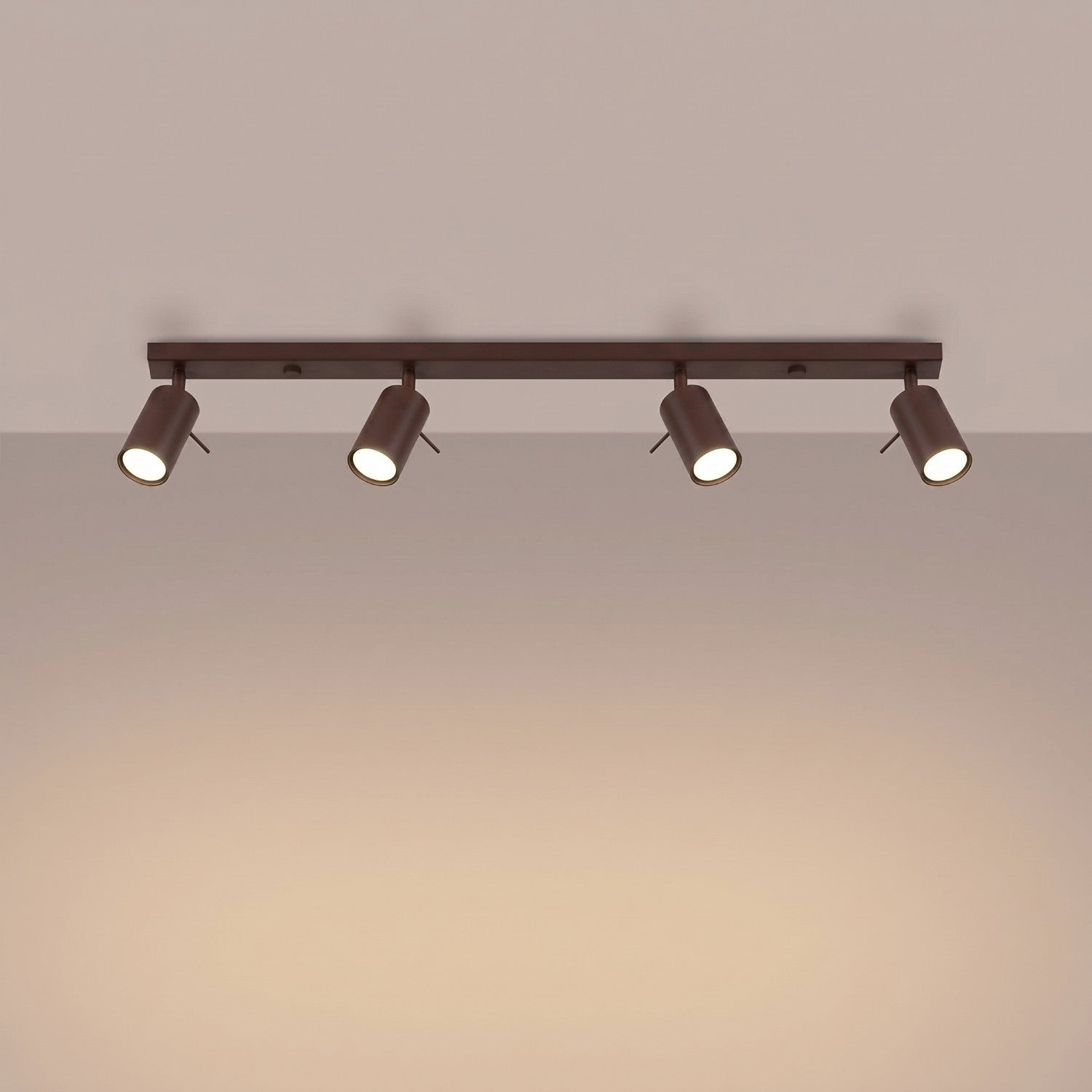 Plafonnier Ring rampe 4 spots acier brun GU10, vue 3