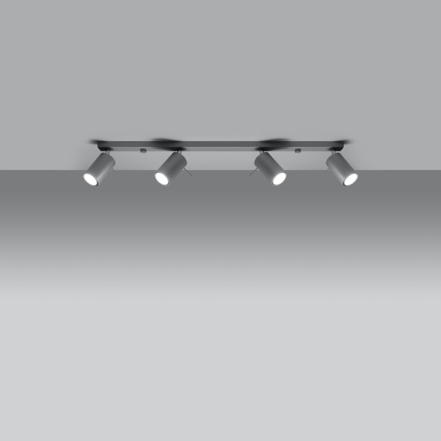 Détail des spots orientables du plafonnier Ring rampe 4 spots acier gris, douille GU10