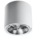 Plafonnier Tiube en aluminium blanc, downlight cylindre à réflecteur, vue de face