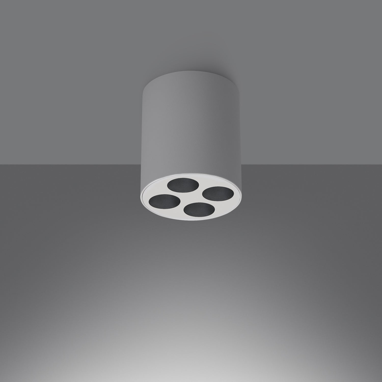 Plafonnier Zoe LED rond aluminium blanc installé au plafond